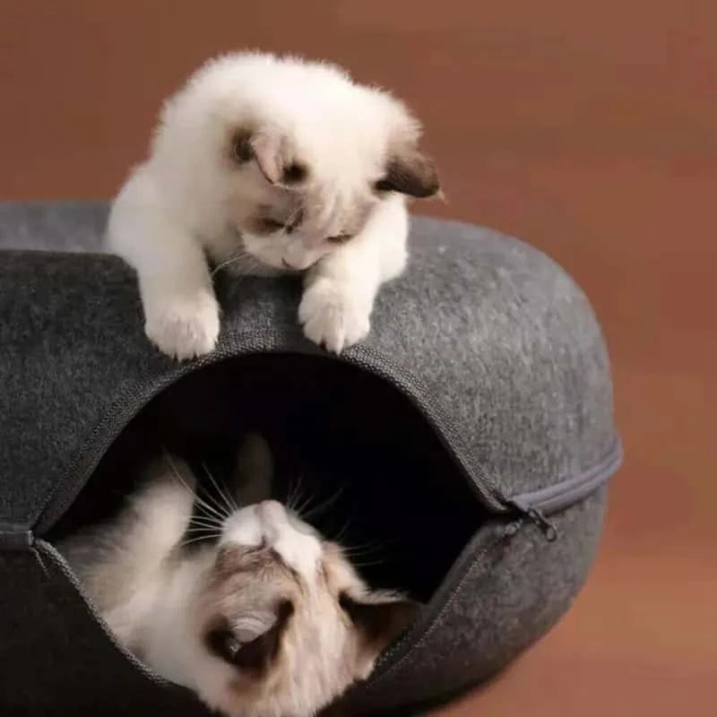 2-in-1 Donut Cat Bed Tunnel Toy – Dual-Use Felt Pet House & Play Tunnel | Scratch-Resistant, Removable & Easy to Clean LüvLitter