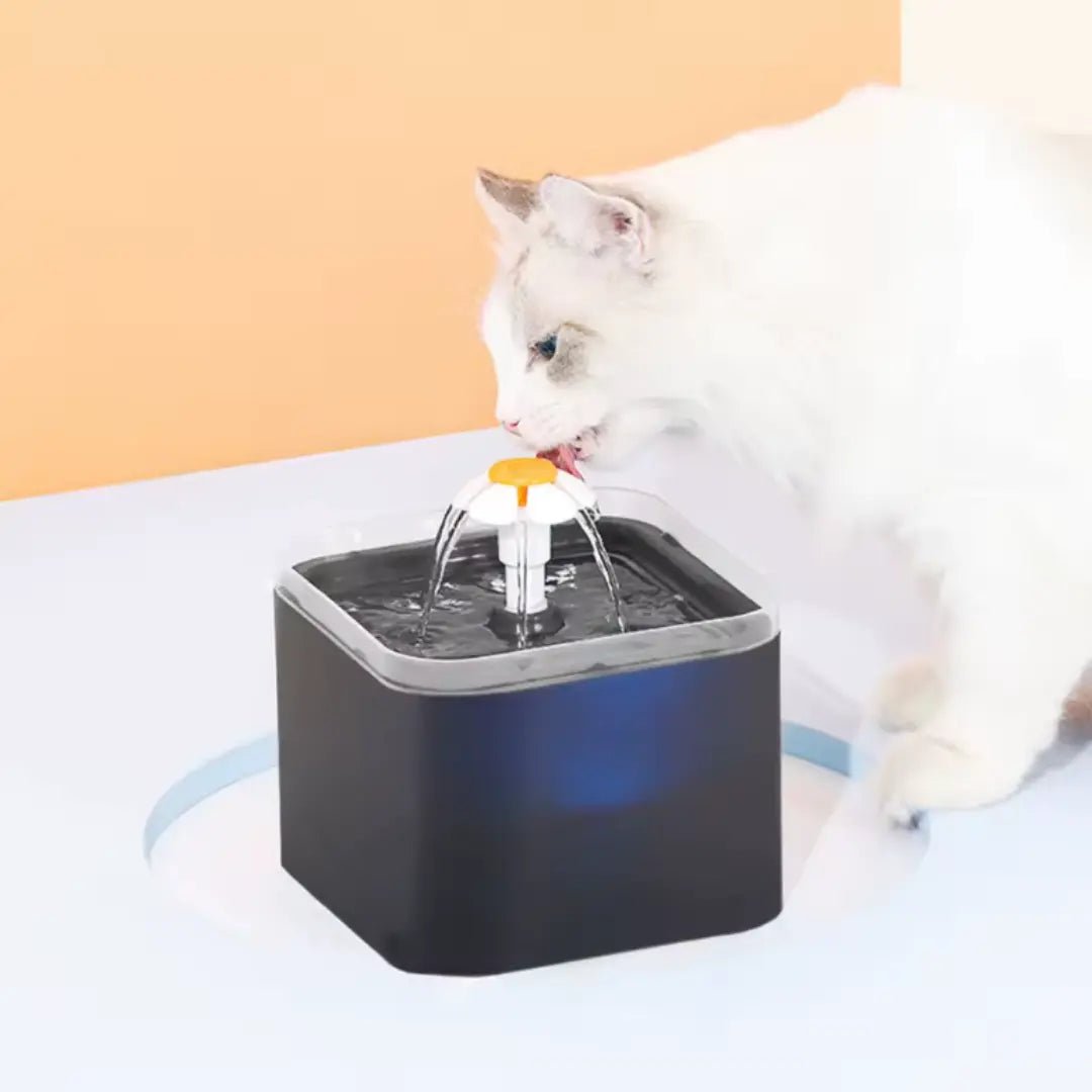 2L Automatic Cat Water Fountain – LED Light, Ultra - Quiet, Circulating Pet Water Dispenser for Cats & Small Dogs - LüvLitter