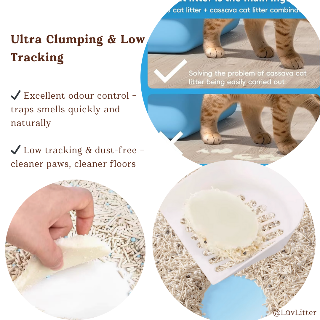 5-in-1 Natural Cat Litter – Ultra Clumping Dust Free Cat Litter LüvLitter
