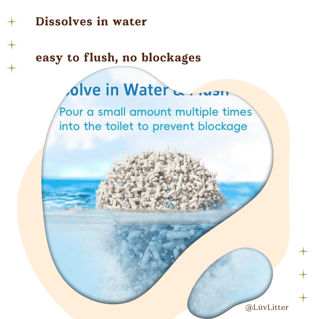 5-in-1 Natural Cat Litter – Ultra Clumping Dust Free Cat Litter LüvLitter