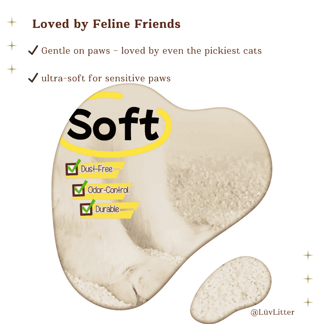 Cassava Natural Cat Litter – Unscented Dust Free Cat Litter | Eco - Friendly & Biodegradable - LüvLitter