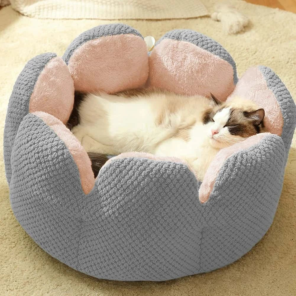 Cute Cactus Design Cat Bed – Plush Sofa - Style Nest for Cats & Kittens - LüvLitter
