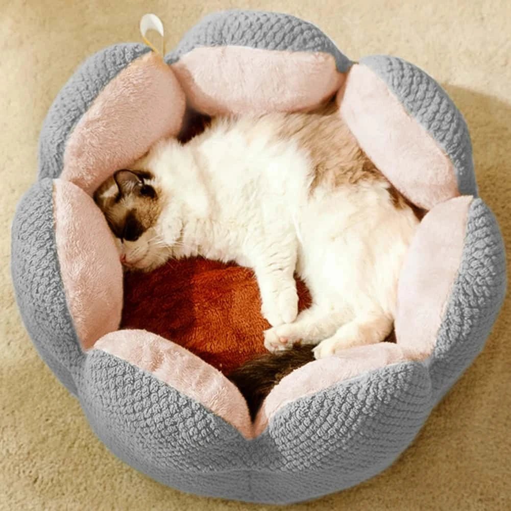 Cute Cactus Design Cat Bed – Plush Sofa - Style Nest for Cats & Kittens - LüvLitter