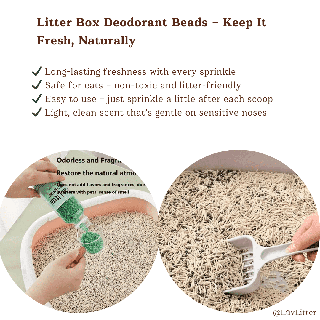 Jasmine Scented Safe Cat Litter Deodoriser – Odour Neutralising & Pet - Safe Freshener - LüvLitter