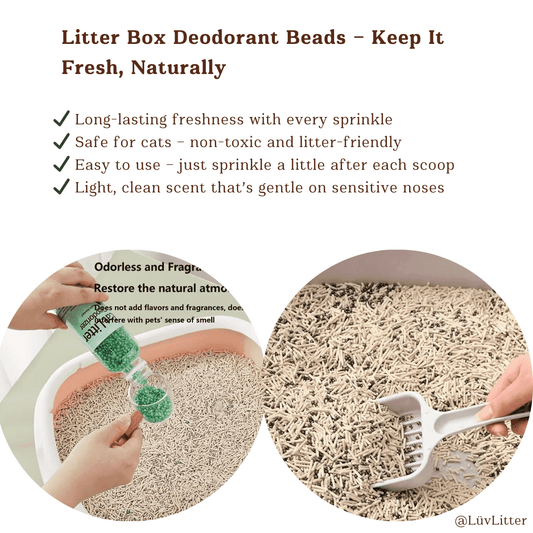 Jasmine Scented Safe Cat Litter Deodoriser – Odour Neutralising & Pet - Safe Freshener - LüvLitter