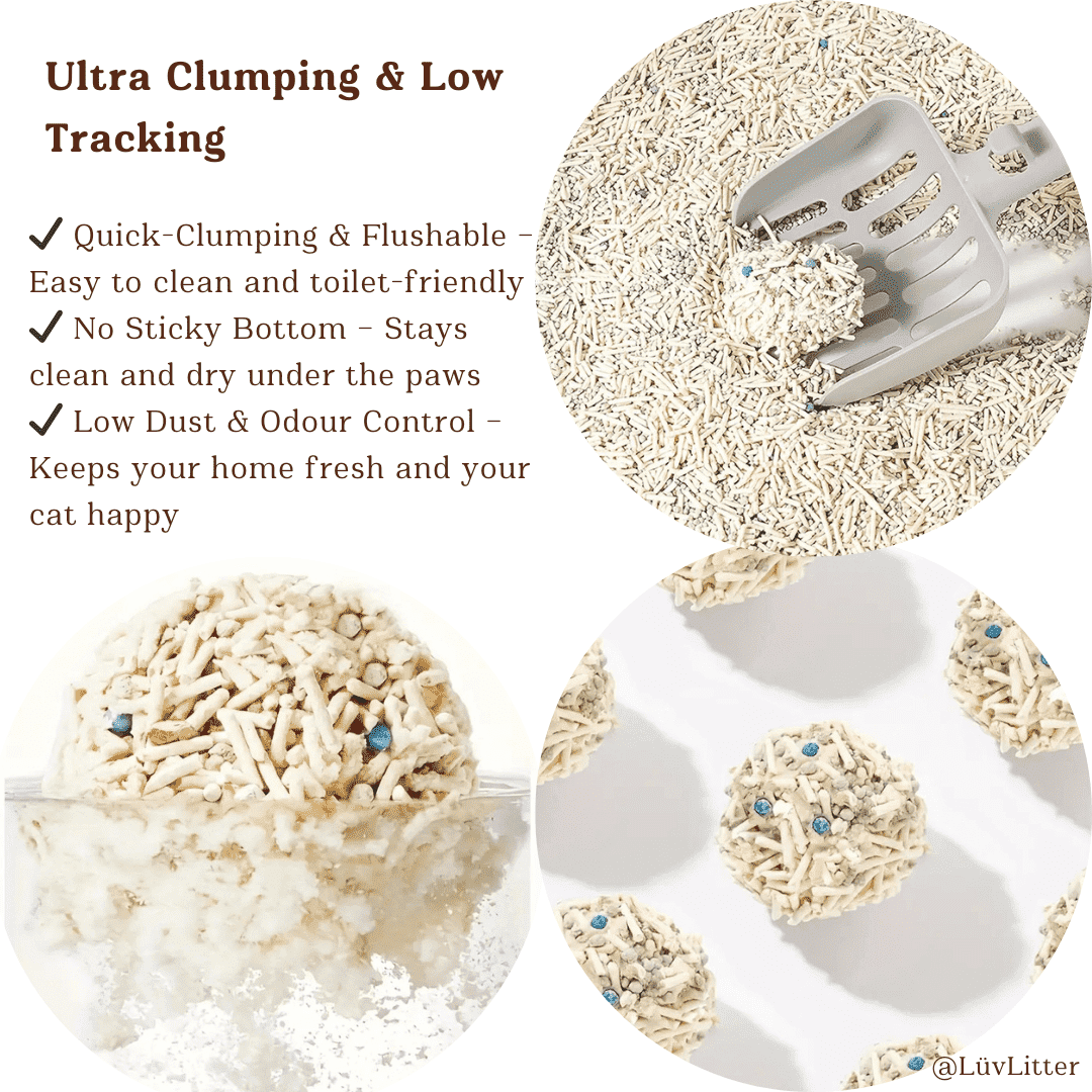 Premium Tofu & Bentonite Cat Litter – Least Tracking Clumping Cat Litter - LüvLitter
