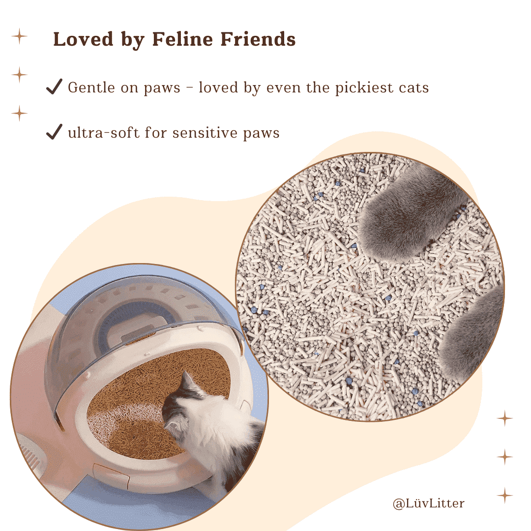 Premium Tofu & Bentonite Cat Litter – Least Tracking Clumping Cat Litter - LüvLitter