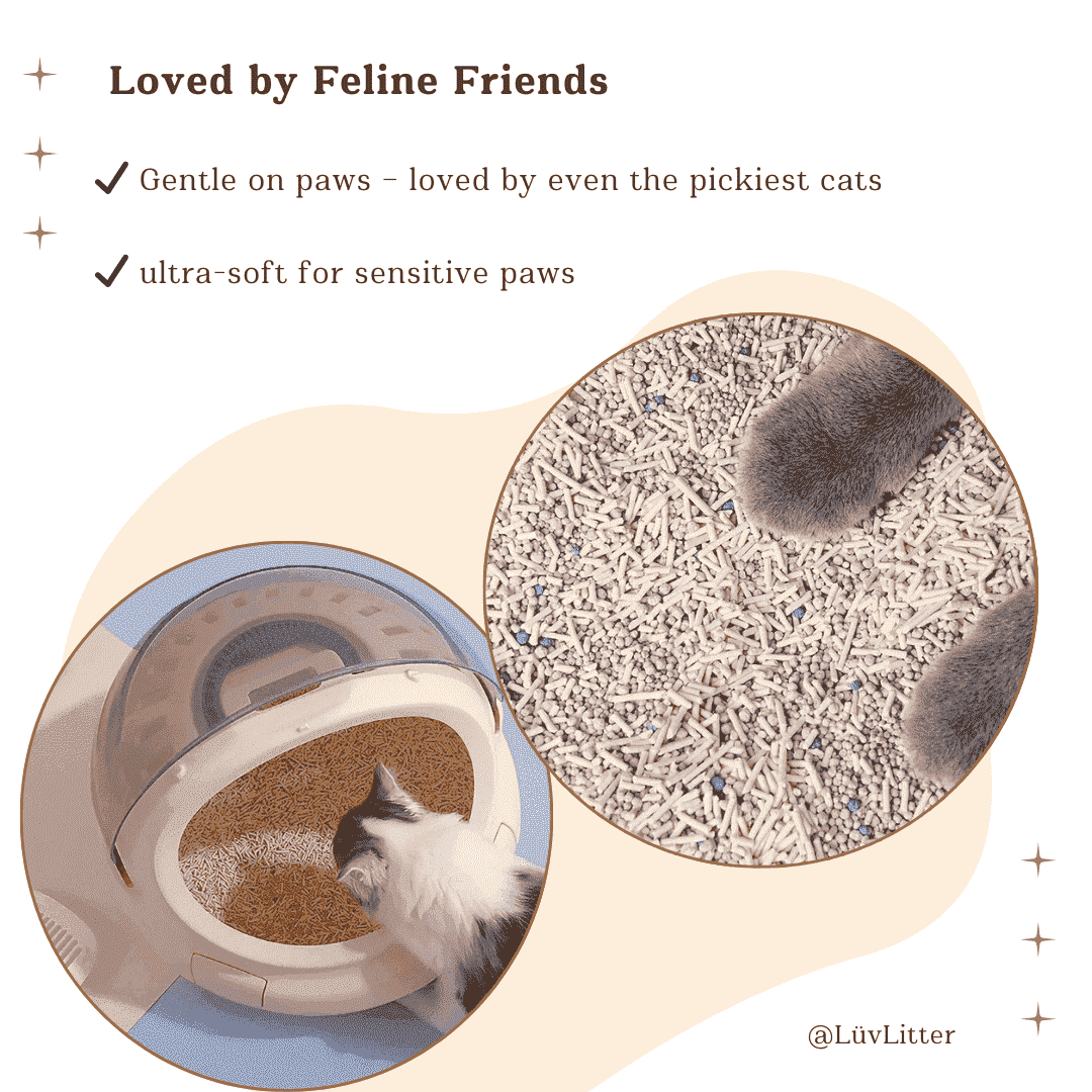 Premium Tofu & Bentonite Cat Litter – Least Tracking Clumping Cat Litter - LüvLitter