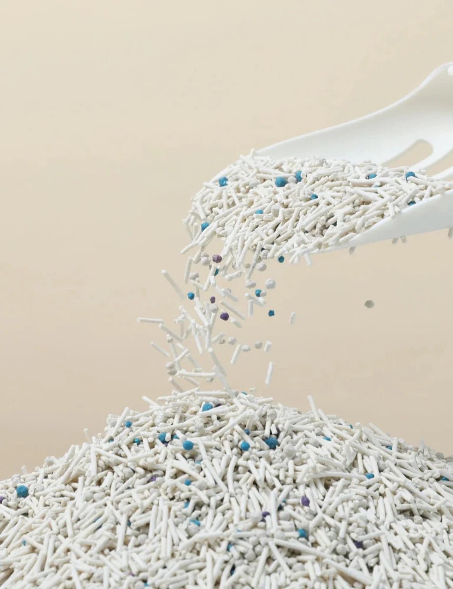 Cat Litter - LüvLitter