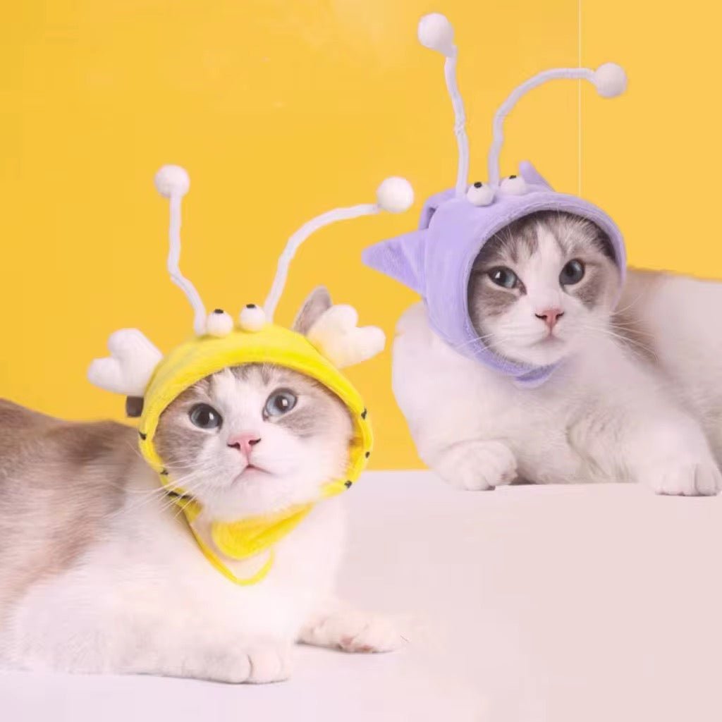 Cat Toys - LüvLitter