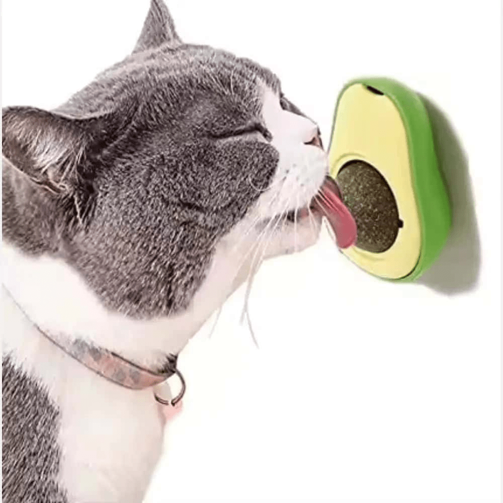 Catnip Toys - LüvLitter
