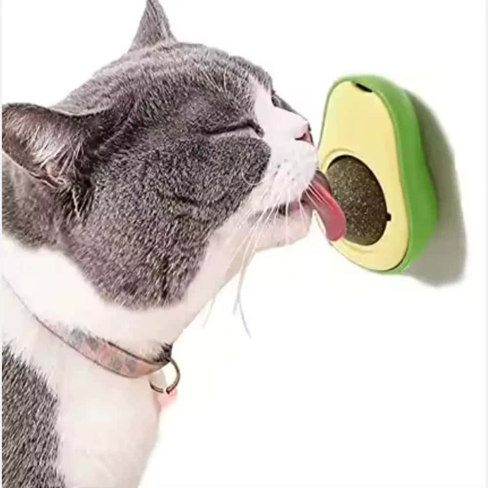 Catnip-Toys LüvLitter