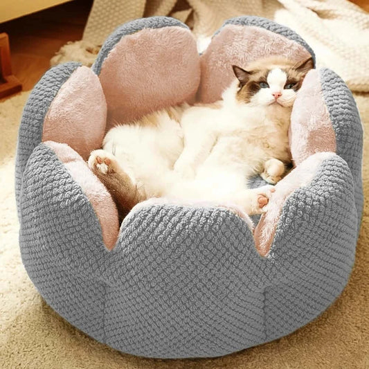 Cute Cactus Petal Cat Bed – Plush Sofa-Style Nest for Cats & Kittens LüvLitter