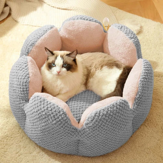 Cute Cactus Petal Cat Bed – Plush Sofa-Style Nest for Cats & Kittens LüvLitter