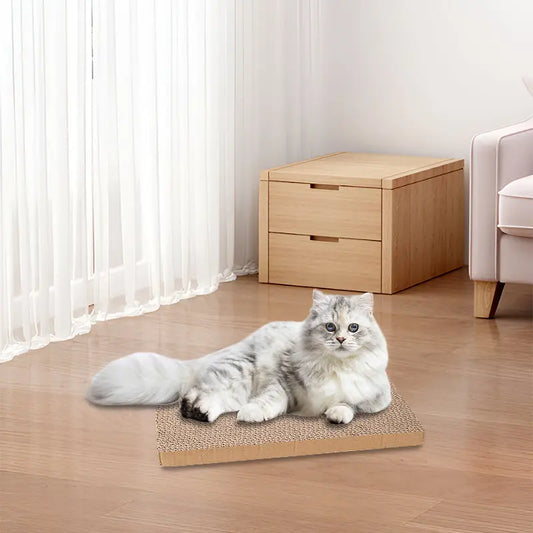 5PCS Reversible Cat Scratching Board – Cardboard Refill Pads for Indoor Cats LüvLitter