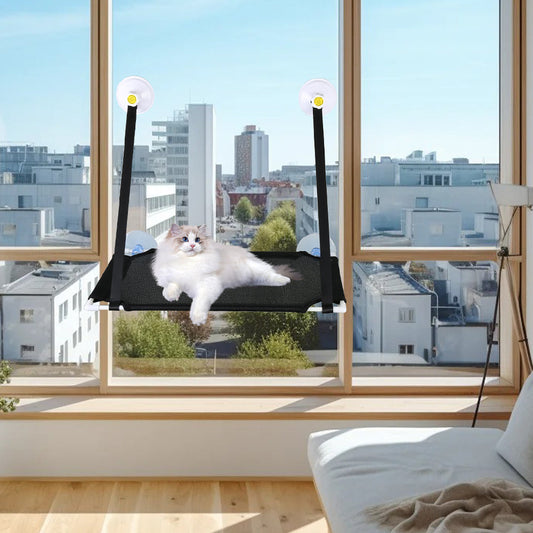 Cat Window Hammock – Sunny Seat Cat Window Perch with Suction Cups | Black Single or Double Layer Mounted Cat Bed LüvLitter