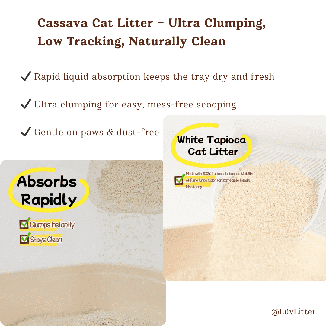 Cassava Natural Cat Litter – Unscented Dust Free Cat Litter | Eco - Friendly & Biodegradable - LüvLitter