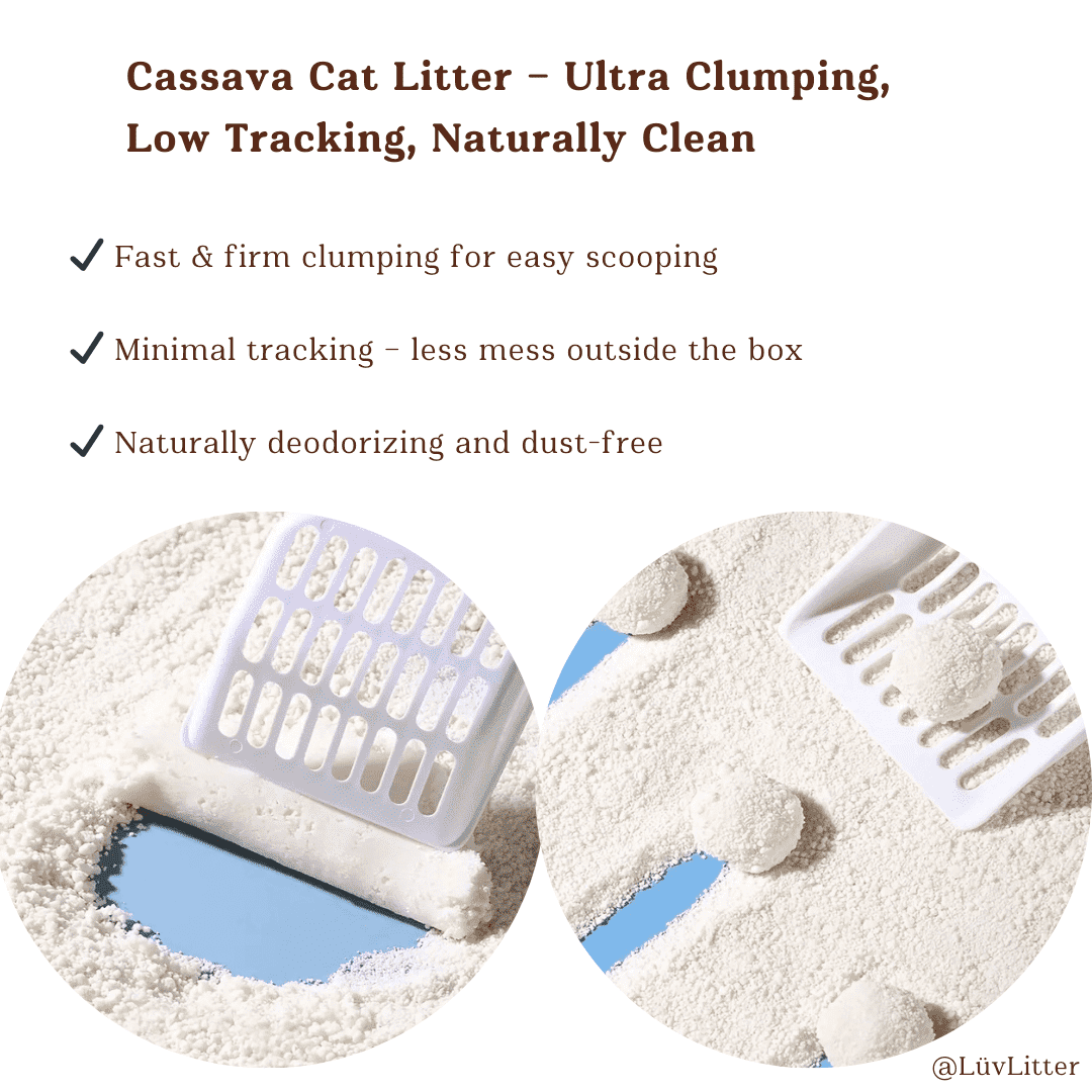 Cassava Natural Cat Litter – Unscented Dust Free Cat Litter | Eco - Friendly & Biodegradable - LüvLitter