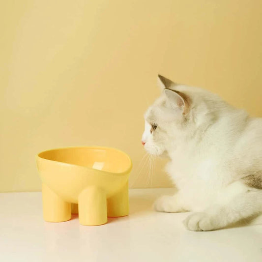 Raised Plastic Cat Food Bowl – Anti-Vomiting Tilted Feeder for Cats | Ergonomic Design in 3 Colors (13.8×13.4×9cm) LüvLitter