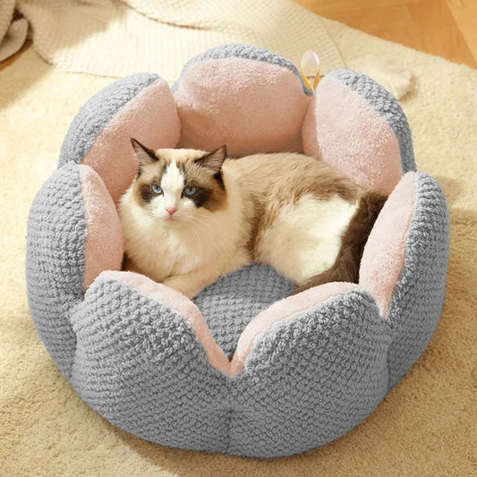 Cute Cactus Design Cat Bed – Plush Sofa - Style Nest for Cats & Kittens - LüvLitter