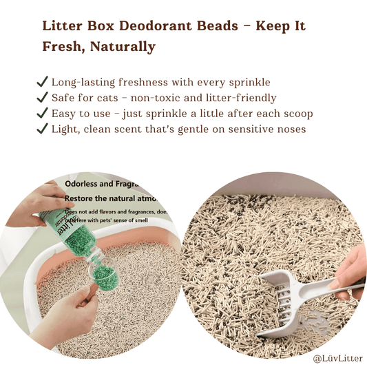 Jasmine Scented Safe Cat Litter Deodoriser – Odour Neutralising & Pet - Safe Freshener - LüvLitter