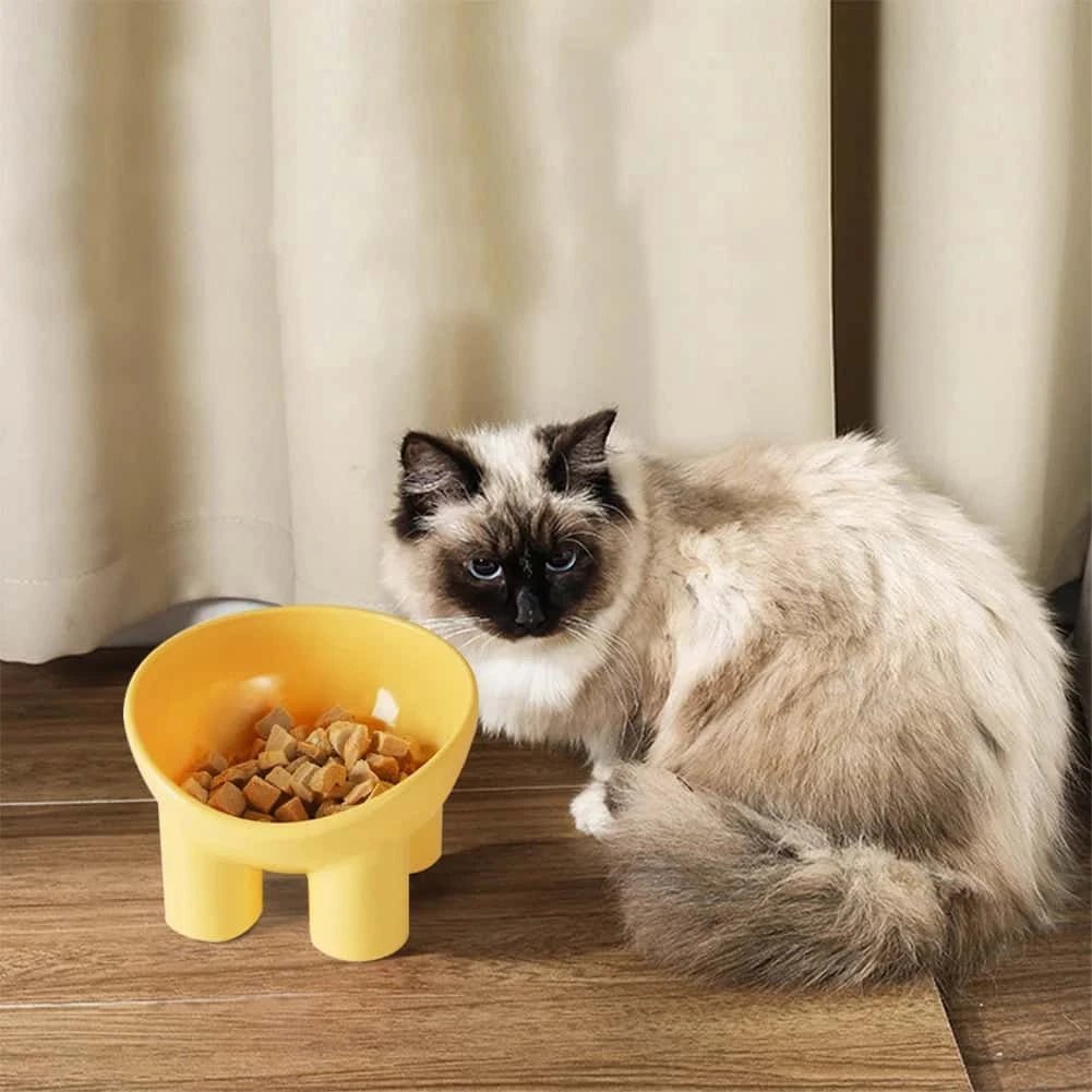 Raised Plastic Cat Food Bowl – Anti - Vomiting Tilted Feeder for Cats | Ergonomic Design in 3 Colors (13.8×13.4×9cm) - LüvLitter