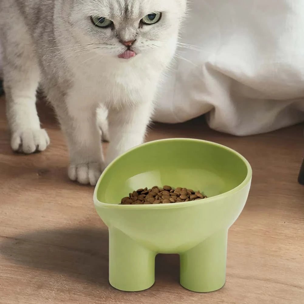 Raised Plastic Cat Food Bowl – Anti - Vomiting Tilted Feeder for Cats | Ergonomic Design in 3 Colors (13.8×13.4×9cm) - LüvLitter