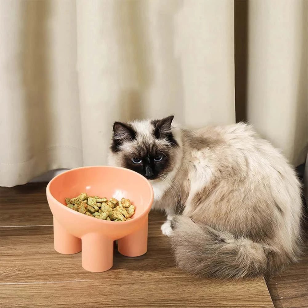 Raised Plastic Cat Food Bowl – Anti - Vomiting Tilted Feeder for Cats | Ergonomic Design in 3 Colors (13.8×13.4×9cm) - LüvLitter